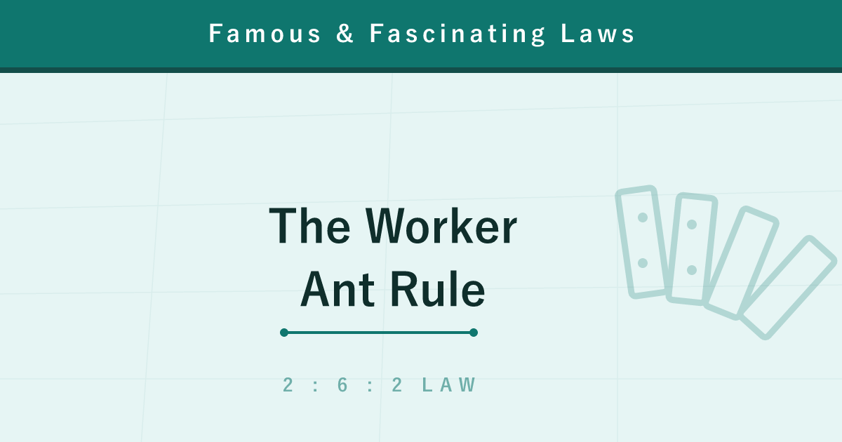 The Worker Ant Rule (2-6-2) — Why 20% of Every Group Doesn't Work