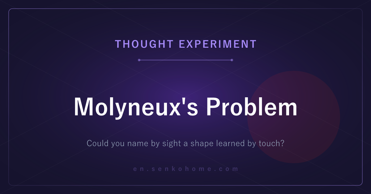 Molyneux's Problem: Can Touch Teach the Eye a Shape?